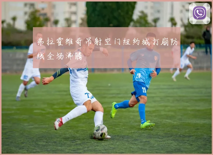 弗拉霍维奇吊射空门纽约城打崩防线全场沸腾